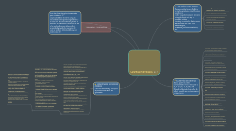 Mind Map: Garantías Individuales.