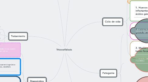 Mind Map: Tricocefalosis