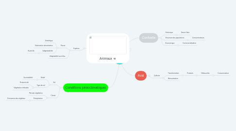 Mind Map: Lait