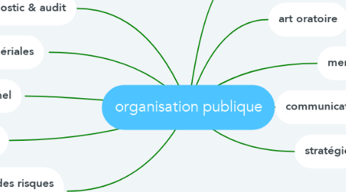 Mind Map: organisation publique