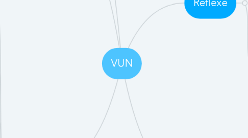 Mind Map: VUN