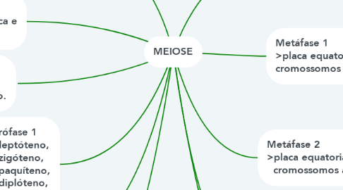 Mind Map: MEIOSE