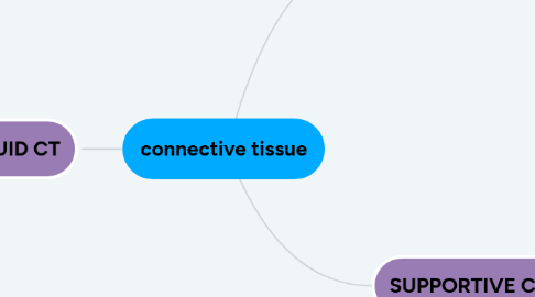 Mind Map: connective tissue
