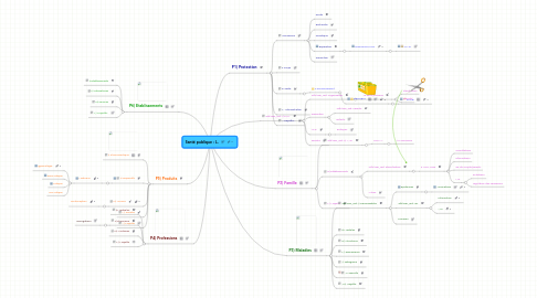 Mind Map: Santé publique : L.