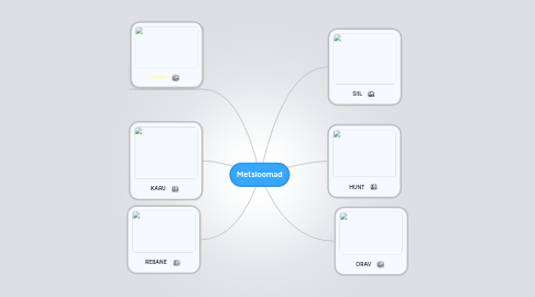 Mind Map: Metsloomad