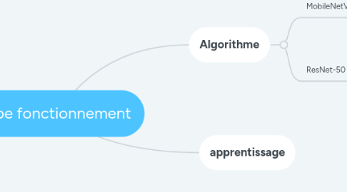 Mind Map: lobe fonctionnement