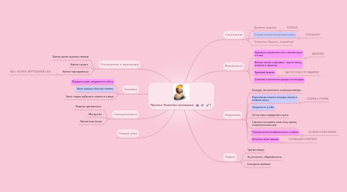 Mind Map: Проект Элитная женщина