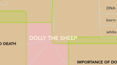 Mind Map: DOLLY THE SHEEP