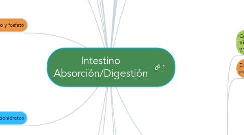 Mind Map: Intestino Absorción/Digestión