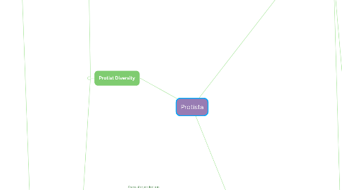 Mind Map: Protista