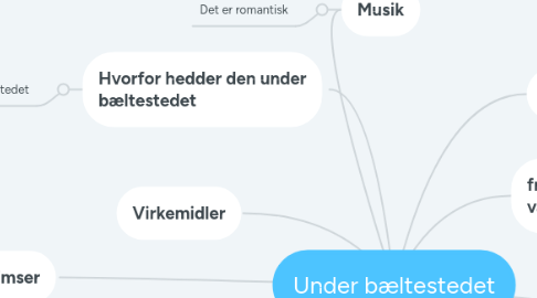 Mind Map: Under bæltestedet