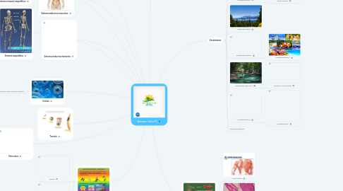 Mind Map: Entorno Vivo (1)