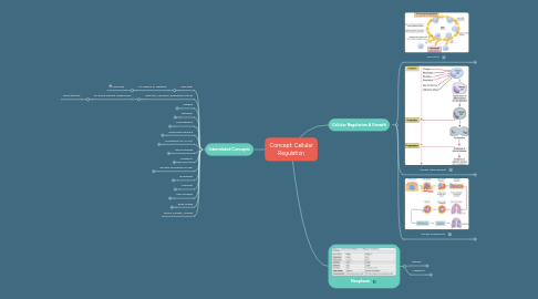 Mind Map: Concept: Cellular Regulation
