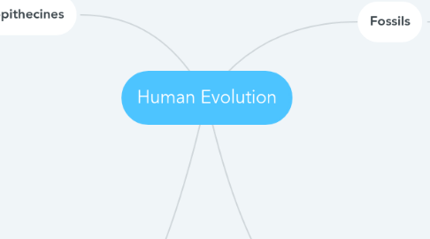 Mind Map: Human Evolution