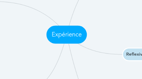 Mind Map: Expérience