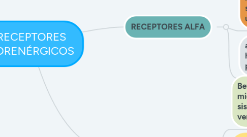 Mind Map: RECEPTORES ADRENÉRGICOS