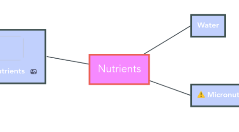 Mind Map: Nutrients