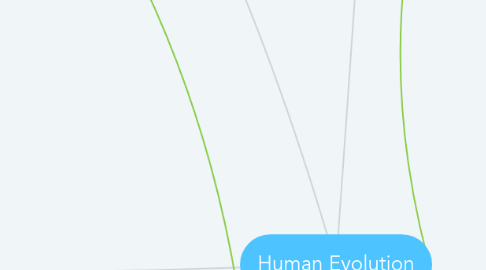 Mind Map: Human Evolution