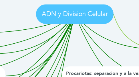 Mind Map: ADN y Division Celular