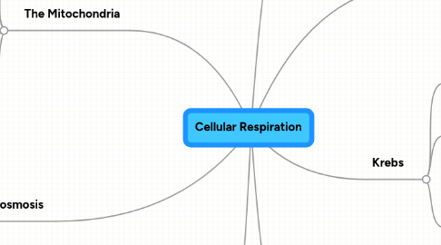 Mind Map: Cellular Respiration