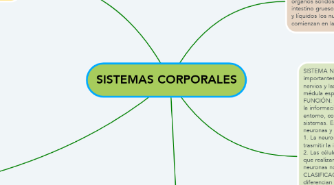 Mind Map: SISTEMAS CORPORALES