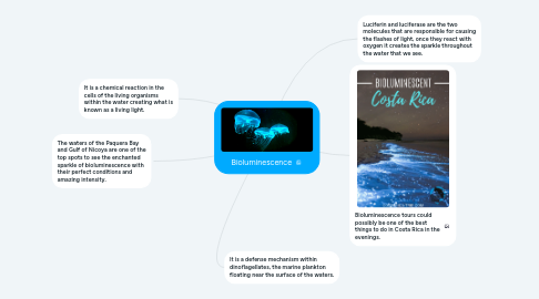 Mind Map: Bioluminescence