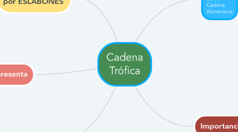 Mind Map: Cadena Trófica