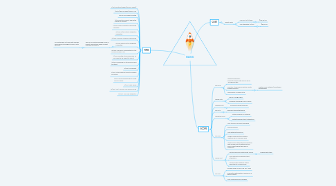 Mind Map: BASIS