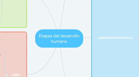 Mind Map: Etapas del desarrollo humano