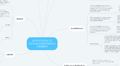 Mind Map: SENESCÊNCIA DO SISTEMA ENDÓCRINO E URINÁRIO
