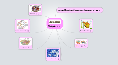 Mind Map: Biología