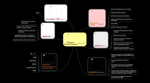 Mind Map: Enterprise Resource Planning