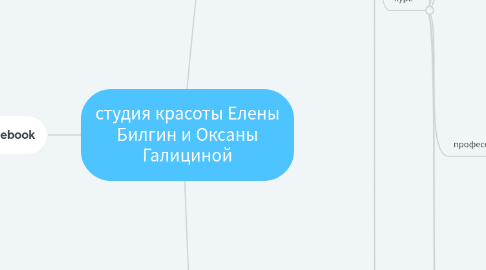 Mind Map: студия красоты Елены Билгин и Оксаны Галициной