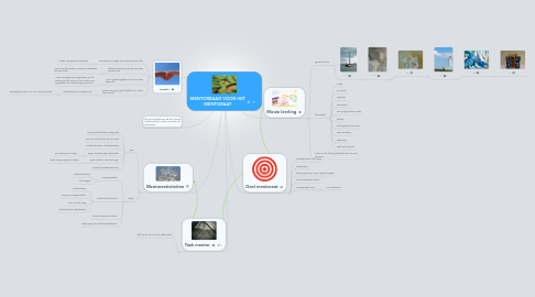 Mind Map: MENTORRAAD VOOR HET MENTORAAT