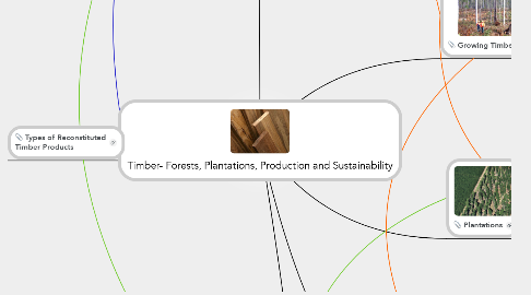 Mind Map: Timber- Forests, Plantations, Production and Sustainability