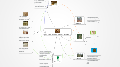 Mind Map: Timber- Forests, Plantations, Production and Sustainability