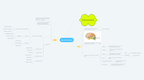 Mind Map: Agnosia y Apraxia
