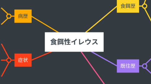 Mind Map: 食餌性イレウス
