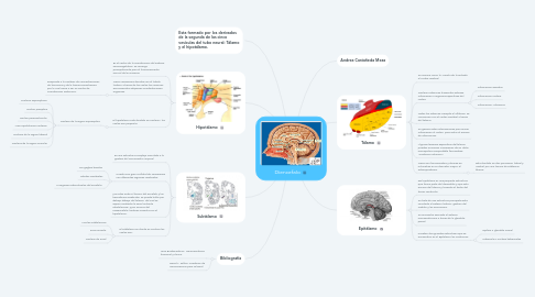 Mind Map: Diencefalo