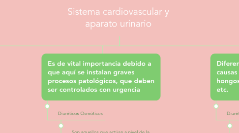 Mind Map: Sistema cardiovascular y aparato urinario