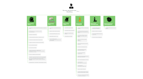 Mind Map: Функции финдиректора MaryWong