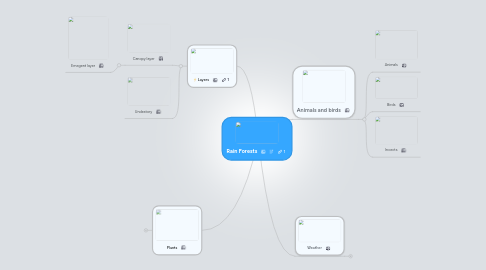 Mind Map: Rain Forests