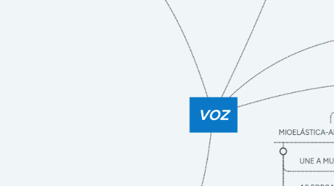 Mind Map: VOZ