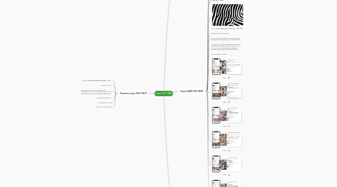 Mind Map: Таргет HOT SMM