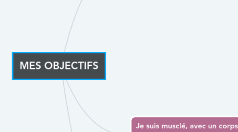 Mind Map: MES OBJECTIFS