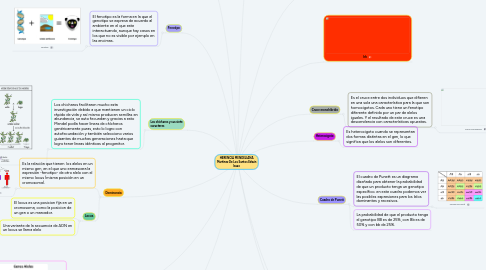 Mind Map: HERENCIA MENDELIANA Martinez De Los Santos Edwin Isaac