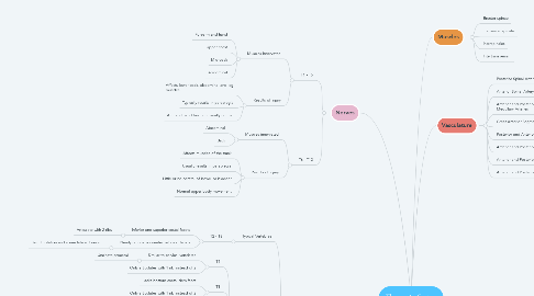 Mind Map: Thoracic Spine