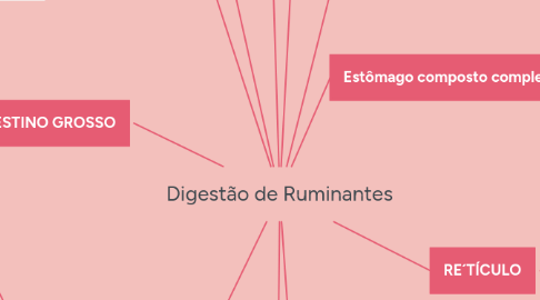 Mind Map: Digestão de Ruminantes