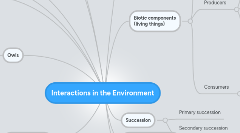 Mind Map: Interactions in the Environment