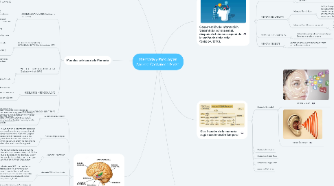 Mind Map: Memoria y Patologías Andrea Castañeda Meza.